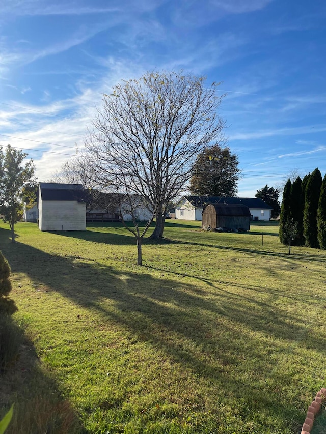 view of yard with an outbuilding