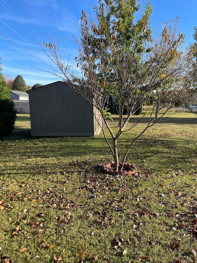 view of yard featuring an outdoor structure