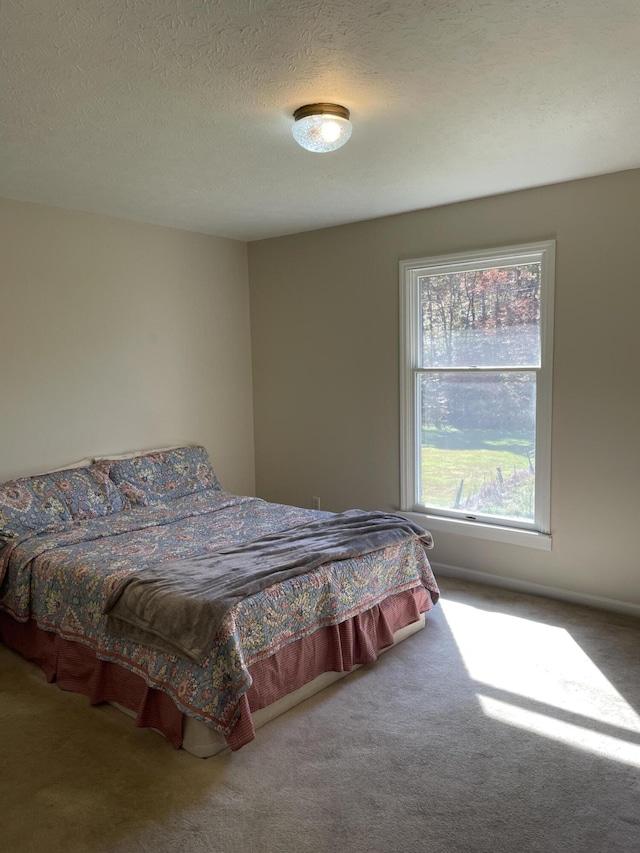 bedroom featuring carpet and a textured ceiling