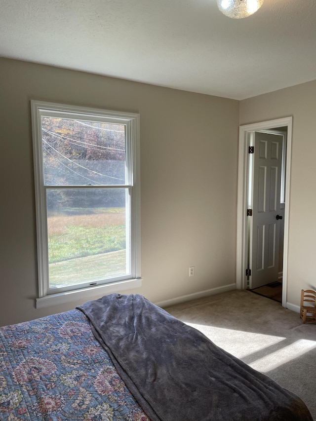 unfurnished bedroom with carpet floors