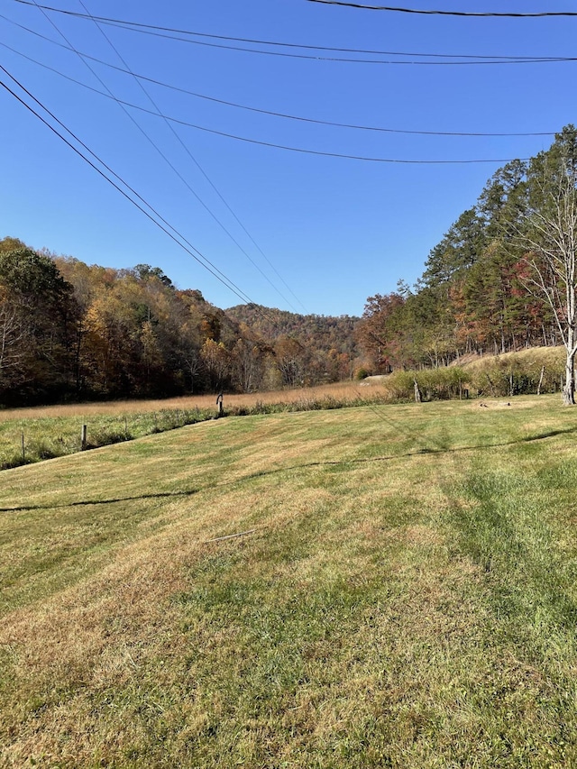 view of yard with a rural view