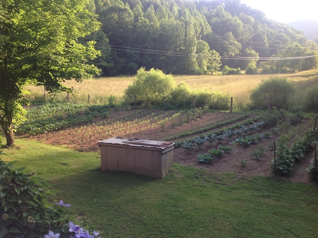 view of yard featuring a rural view