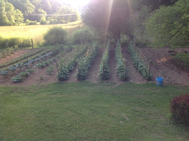 birds eye view of property featuring a rural view