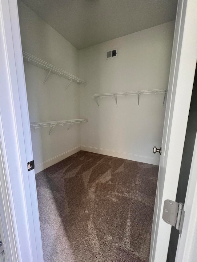 walk in closet with carpet floors