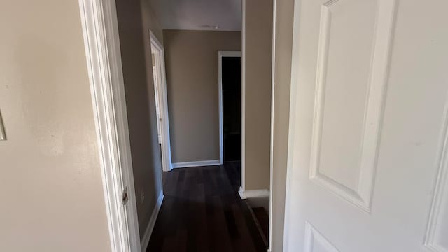 hallway featuring dark wood-type flooring