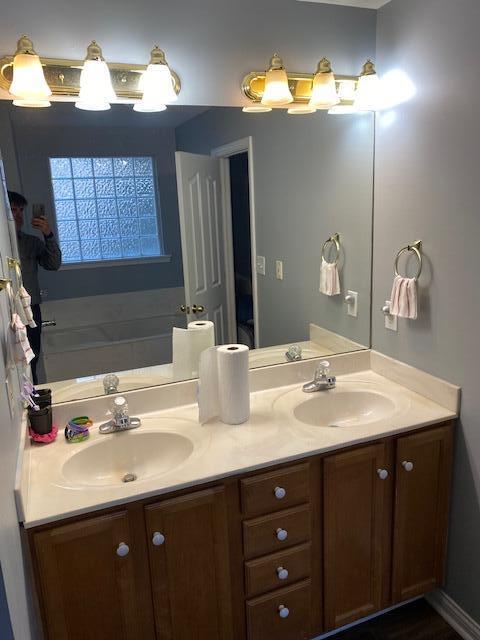 bathroom featuring vanity and a bathing tub