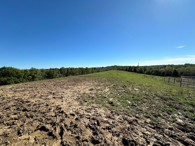 view of local wilderness with a rural view