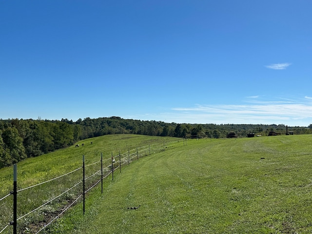 view of yard featuring a rural view