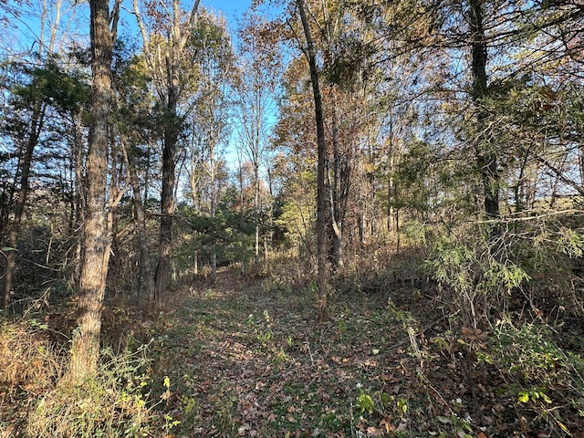 view of local wilderness