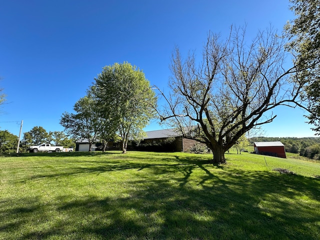 view of yard with an outbuilding