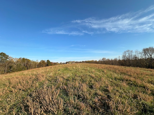 view of local wilderness featuring a rural view