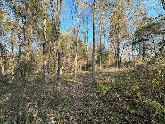 view of landscape