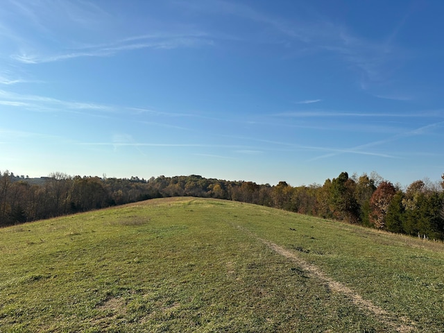 view of landscape with a rural view