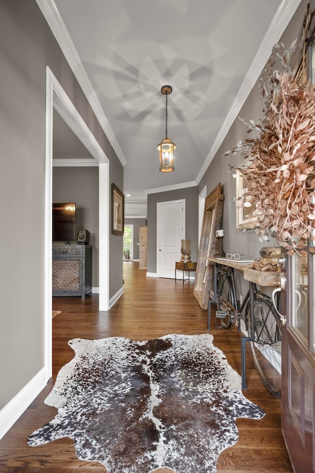 entrance foyer with crown molding and dark hardwood / wood-style floors