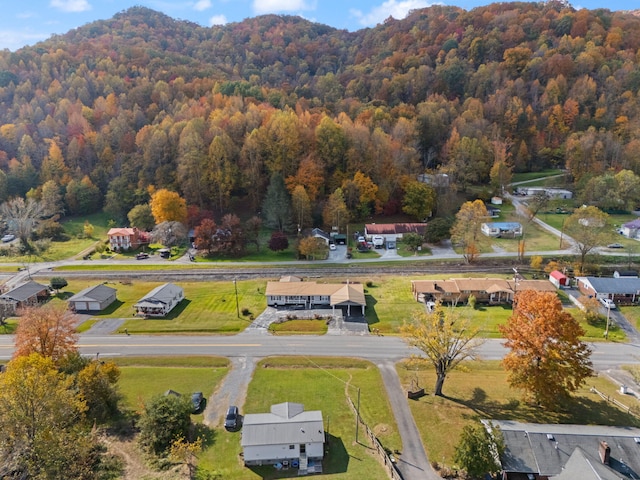 drone / aerial view with a mountain view