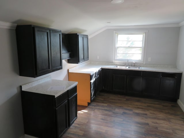 10 W Church St, Stanton, KY 40380 - kitchen with dark wood-type flooring, ornamental molding, lofted ceiling, light countertops, and dark cabinetry