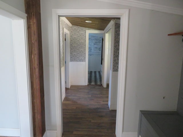 10 W Church St, Stanton, KY 40380 - hallway with wallpapered walls, dark wood-style floors, a wainscoted wall, and ornamental molding