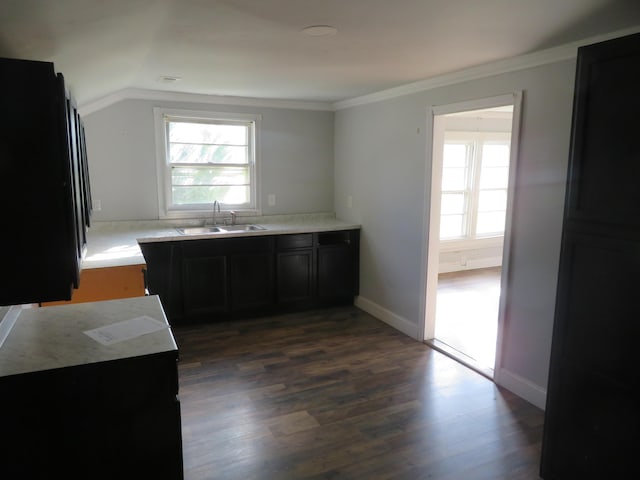 10 W Church St, Stanton, KY 40380 - kitchen with healthy amount of natural light, dark wood finished floors, ornamental molding, lofted ceiling, and light countertops