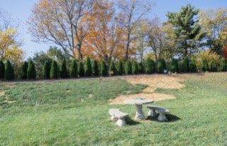 643 Four Winds Dr, Richmond, KY 40475 - view of yard