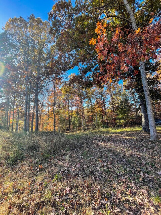 816 Big Andy Rd, Rogers, KY 41365