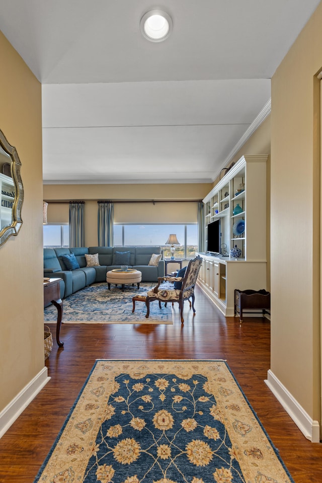 living room featuring dark hardwood / wood-style flooring