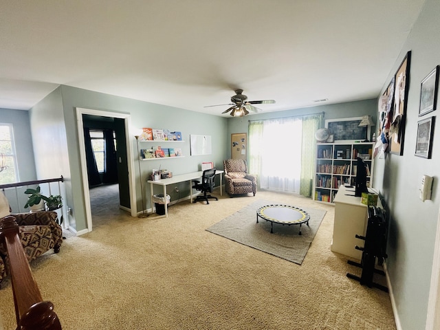 living area featuring carpet floors