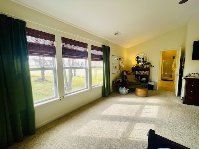 interior space with plenty of natural light, vaulted ceiling, and carpet