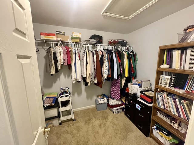 walk in closet with carpet floors