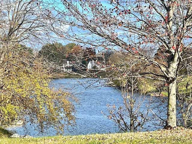 view of water feature