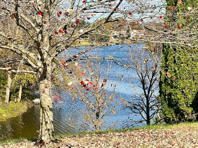 view of water feature