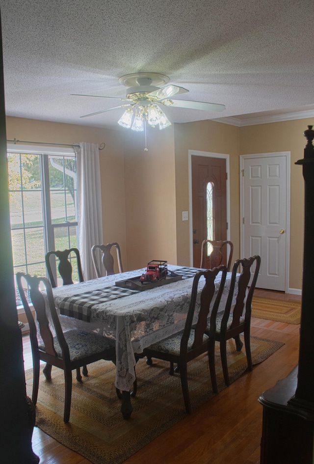 dining area featuring crown molding, wood-type flooring, a textured ceiling, and ceiling fan