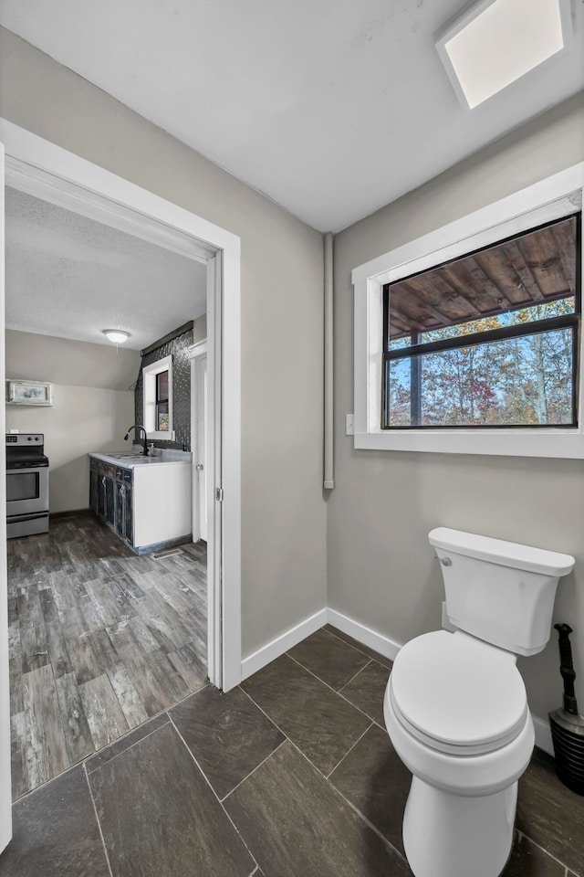 bathroom with toilet, hardwood / wood-style flooring, and sink