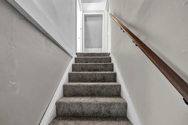 stairs with carpet floors