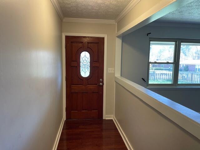 entryway featuring crown molding, a textured ceiling, and dark wood-type flooring