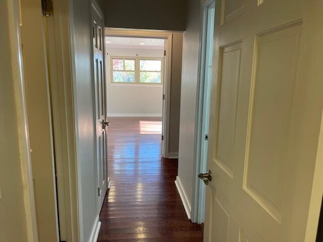 hallway with dark hardwood / wood-style flooring