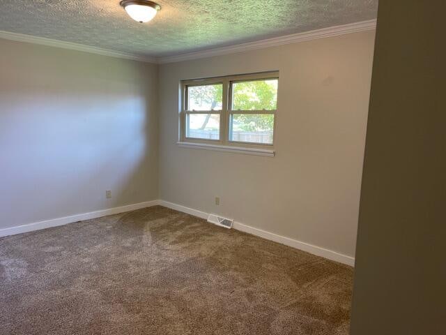 spare room with carpet, crown molding, and a textured ceiling