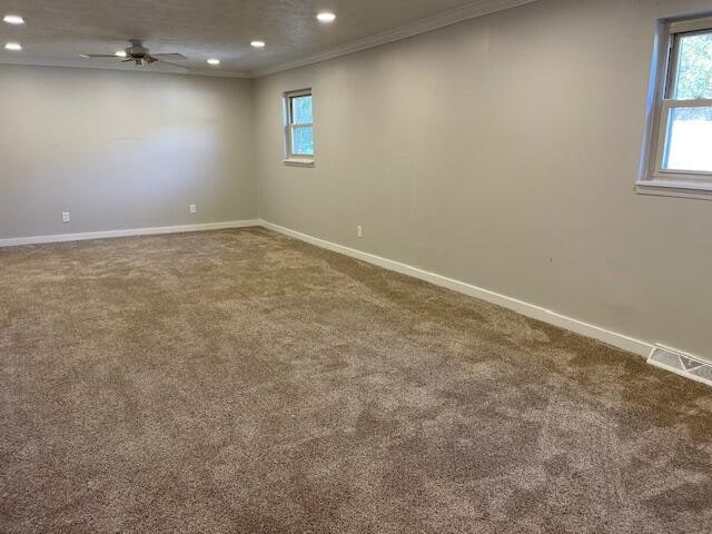 carpeted spare room with ornamental molding, a healthy amount of sunlight, and ceiling fan