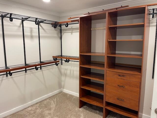 spacious closet with light carpet