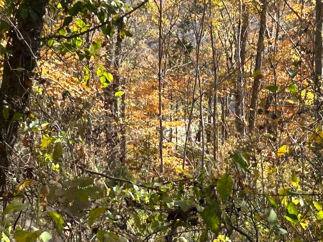 LOT36 Buck Creek Cir, Somerset KY, 42501 land for sale