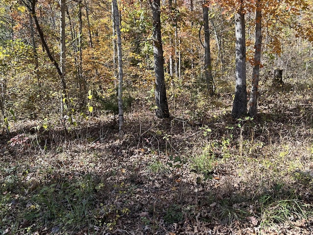 Listing photo 2 for LOT36 Buck Creek Cir, Somerset KY 42501