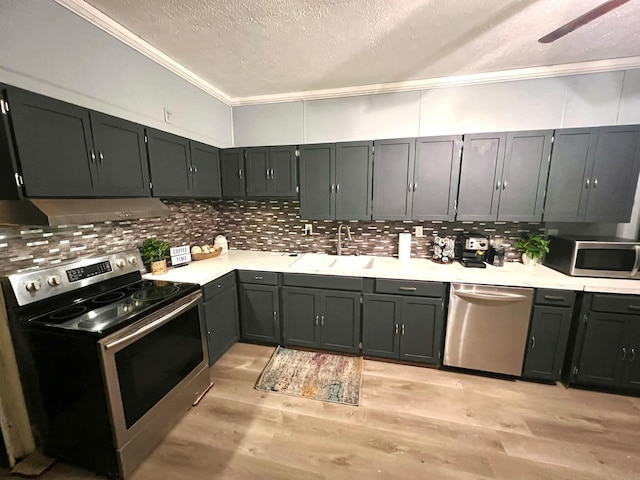 kitchen with tasteful backsplash, exhaust hood, appliances with stainless steel finishes, crown molding, and sink