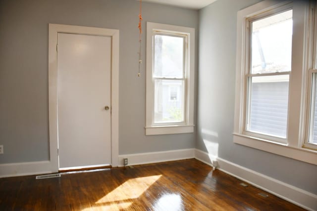 spare room featuring a healthy amount of sunlight and dark hardwood / wood-style flooring