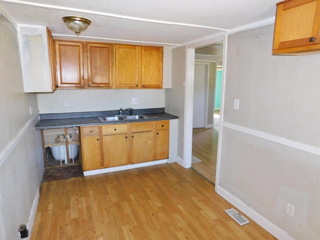 199 Caney Creek Rd, Stamping Ground, KY 40379 - kitchen featuring a sink, dark countertops, light wood-style flooring, and visible vents