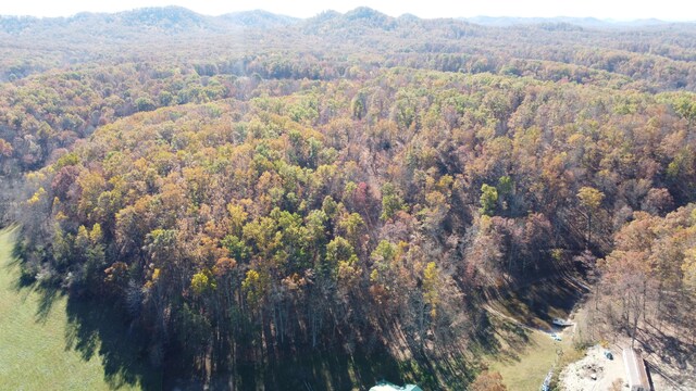 aerial view featuring a mountain view