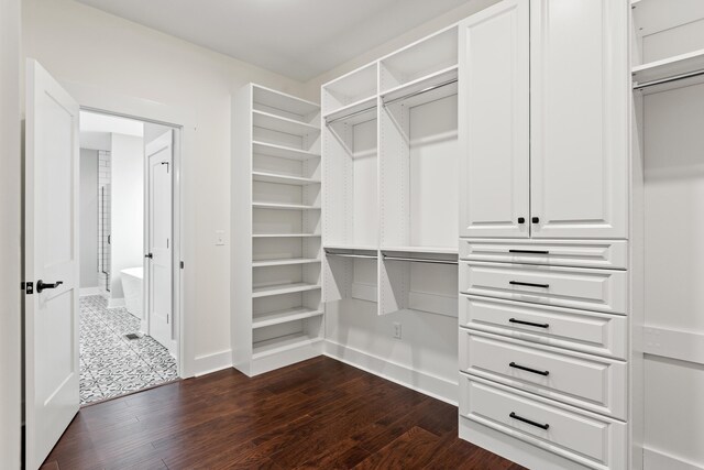 walk in closet featuring dark hardwood / wood-style floors