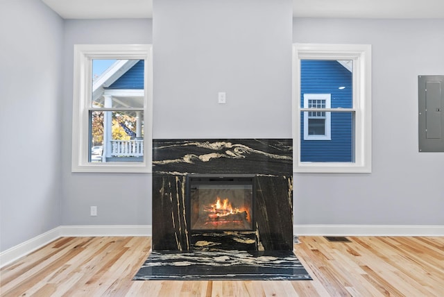 room details featuring electric panel and wood-type flooring