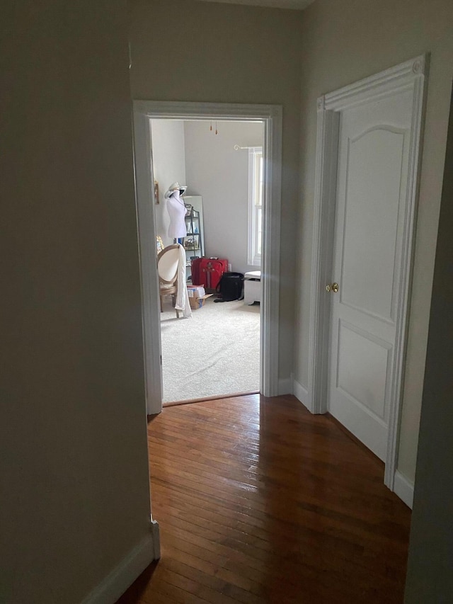 corridor with dark hardwood / wood-style floors