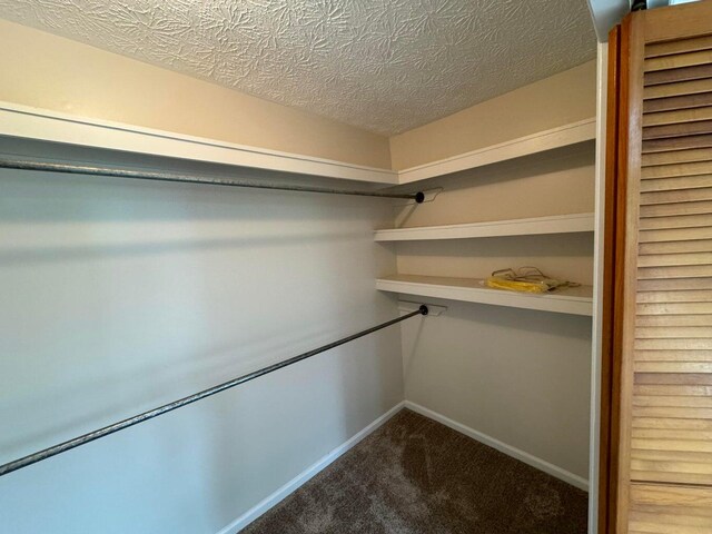 spacious closet with carpet flooring