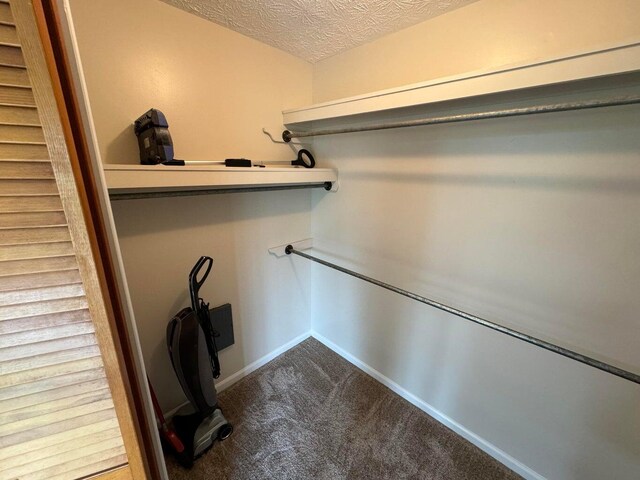 spacious closet with carpet