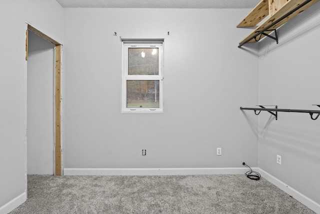 223 Sycamore Rd, Stanton, KY 40380 - laundry area with carpet and baseboards